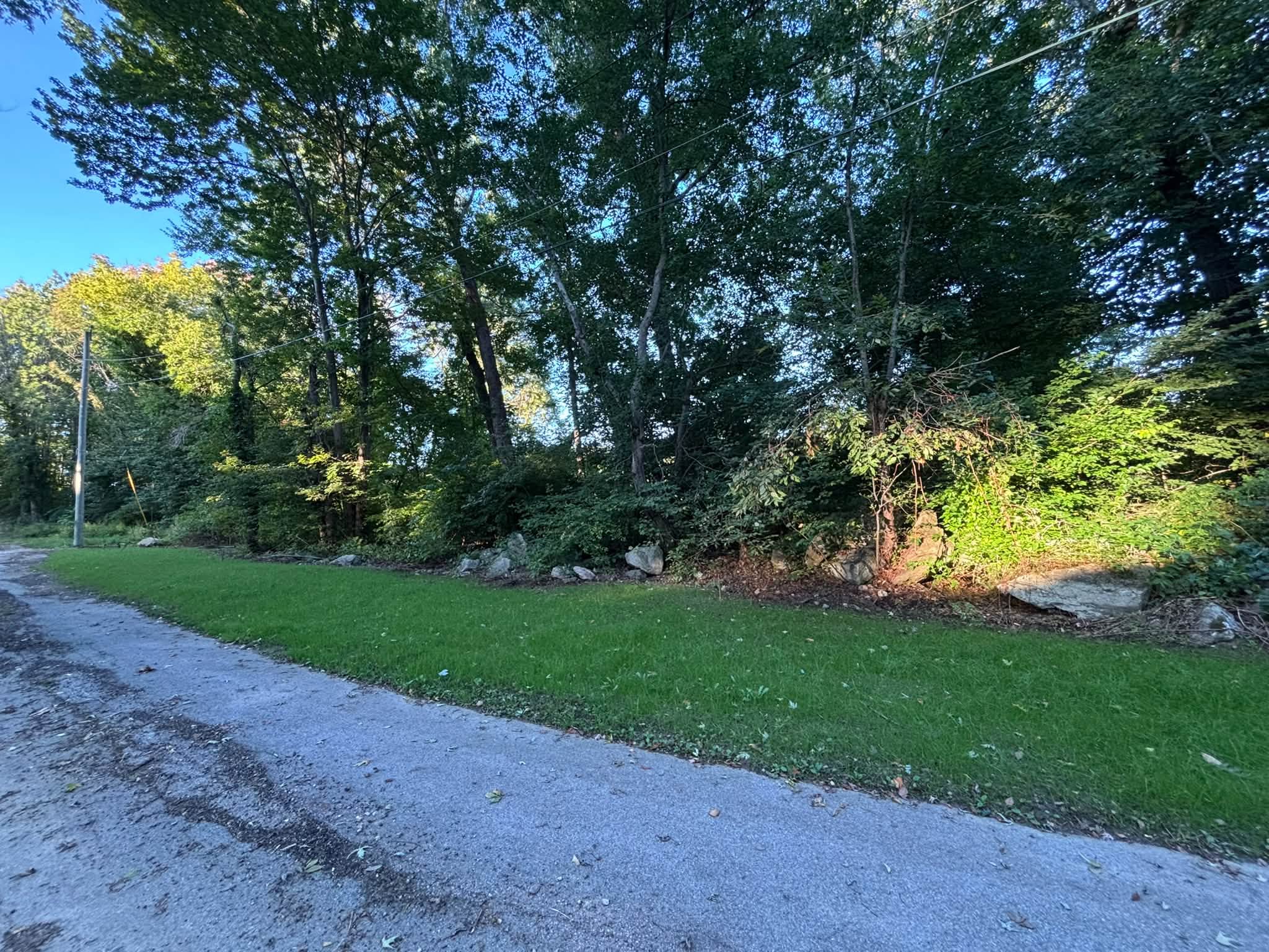 Spencer Brush Clearing & Lawn Restoration